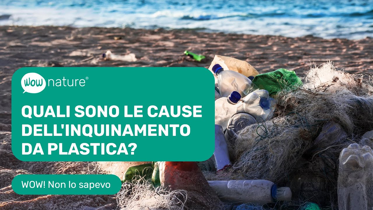 Quali sono le cause dell'inquinamento da plastica?
