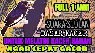 Download Lagu #1 FULL 1 JAM 🔴 SUARA SIULAN DASAR KACER UNTUK MELATIH KACER BAHAN AGAR CEPAT GACOR MP3 Download Lagu #1 FULL 1 JAM 🔴 SUARA SIULAN DASAR KACER UNTUK MELATIH KACER BAHAN AGAR CEPAT GACOR MP3