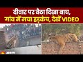 Pilibhit tiger rescue            viral
