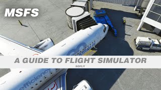 A estranheza da estética algorítmica de Flight Simulator ⁄ Manual do Usuário