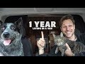 Living In A Van Full Time 1 Year Review | Part 1 | Fall and Winter