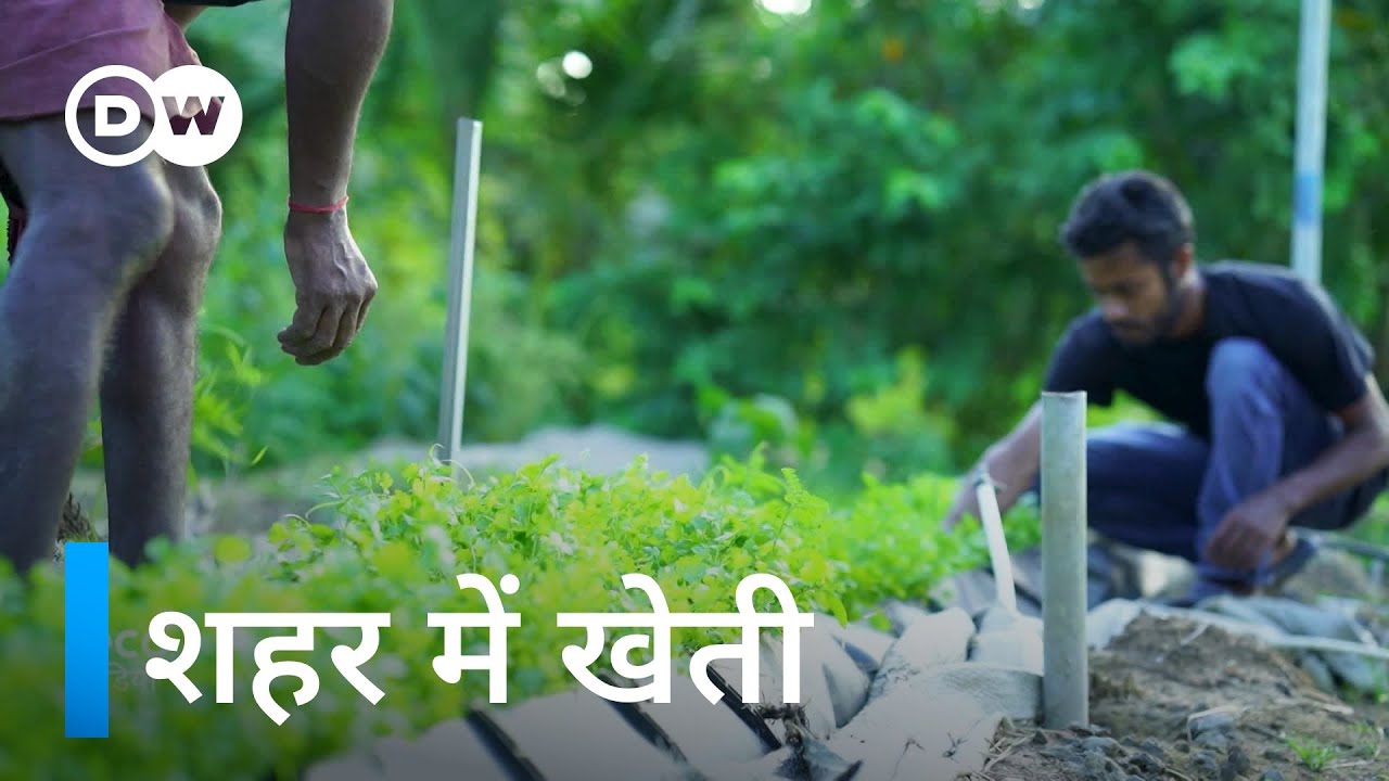 ये भारतीय कंपनी शहर में खेती करना सिखाती है [Indian company using unused urban land for farming]