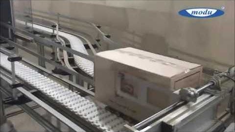 MODU Continuous Carton Elevator or Lowerator