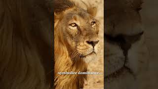 "Roaring Majesty: The Symbolism and Power of the Lion"