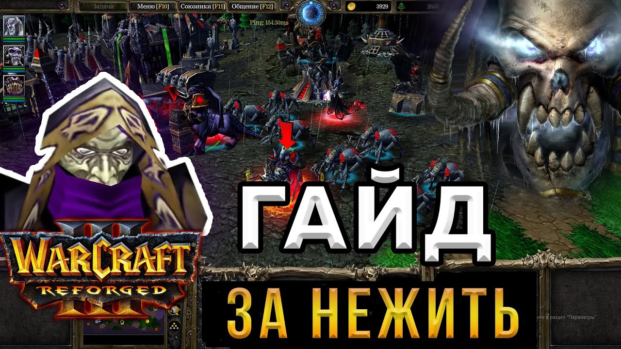 Гайд нежить варкрафт. Warcraft 3 тактики за нежить.