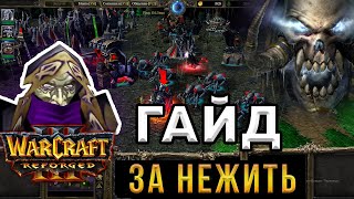 :      - WarCraft 3:Reforged -       3