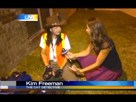 How to find a lost cat: Lost Cat Finder Pet Detective on Austin KEYE interview