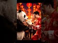 Panda Fights Over Last Dumpling at Chinese New Year Market | Nebula Shots