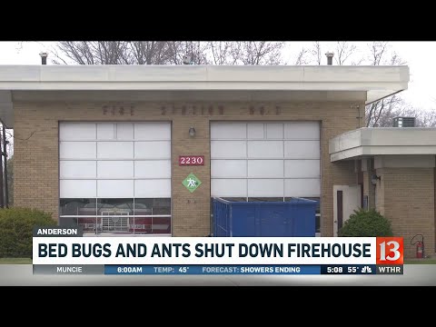 Bedbug, ant infestation closes fire station