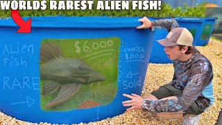 I Bought the World’s RAREST Alien Fish!