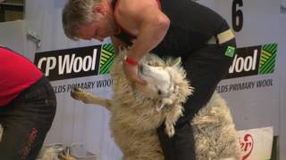 World Machine Shearing Round 3