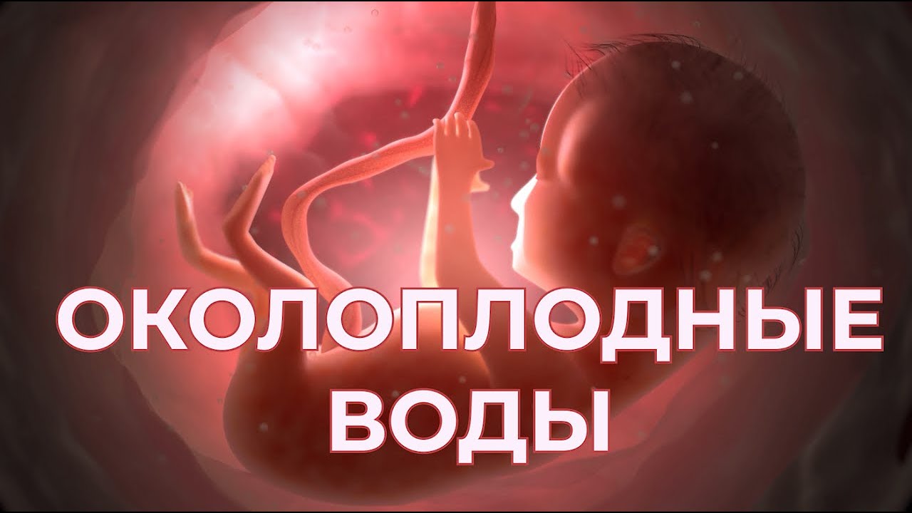 Околоплодные Воды. Амниотическая Жидкость.