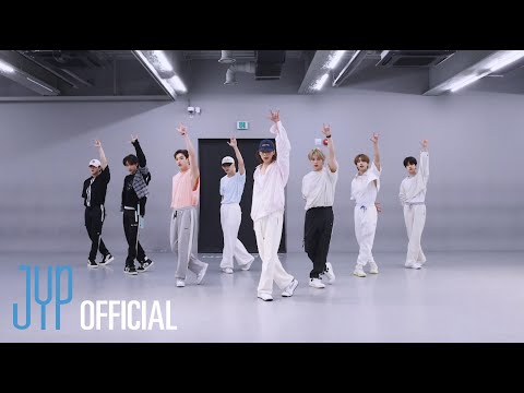 Stray Kids Case 143 Dance Practice Video