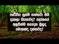 ඔබ ජීවිතේ පළවෙනි වතාවට දකින භයානකම සහ අපූරුම ස්වභාවික සිද්ධි මෙන්න | Unbelievable Things Of Nature