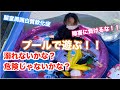 【プール遊び】家庭用ビニールプールで遊びます♪