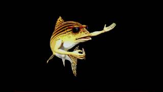 ZX SPECTRUM NEXT += FISH =+ NEW GAME 2024