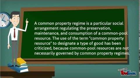 Microeconomics:Common Resources