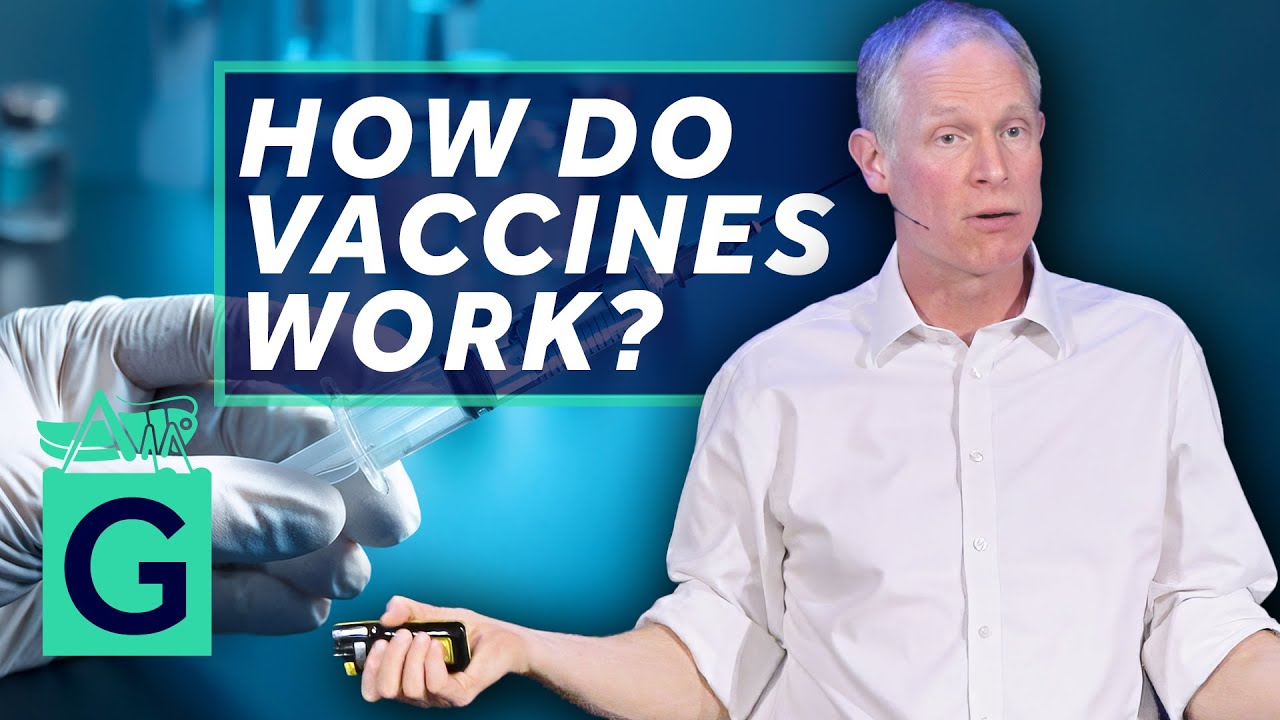 How Do Vaccines Work? - Robin May