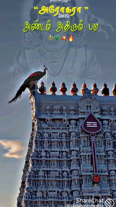 திருச்செந்தூர் முருகன் திருவிதாங்கூர் # முருகா முருகா 🙏🙏