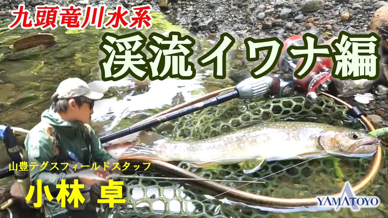 至高の渓流ベイト 九頭竜水系イワナ編 - YouTube
