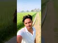 mewati reels ❣️ #song #8282 #automobile