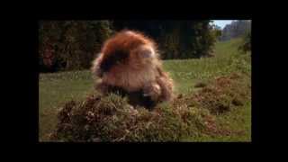 Caddyshack / Im Alright - Kenny Loggins