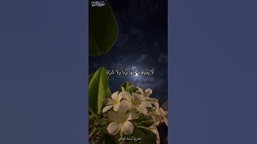 ﴿إِنَّ يَوْمَ الْفَصْلِ كَانَ مِيقَاتًا﴾🤎 #Quran #قرآن #تلاوة #تلاوة_خاشعة #أسامة_القاضي   #النبأ