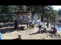 Лесная изба в глухой тайге. Forest hut in the deep taiga.