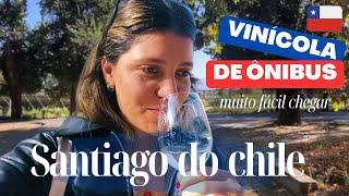 PROVIDENCIA CHILE I A melhor vinícola para visitar de ônibus nessa região