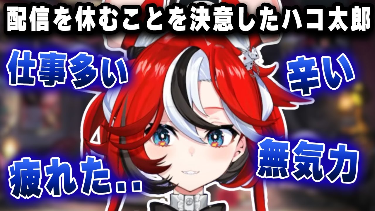 ハコ太郎、本当に疲れてしまい、配信休止を決意する.....【切り抜き/ホロライブ/ハコ太郎】