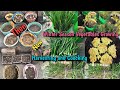 Winter ☃️ ❄️ Vegetable Growing 🌿 Harvesting 🏕️ &amp; Cooking 😋 Full Video#garden#Smile With Us#vlog