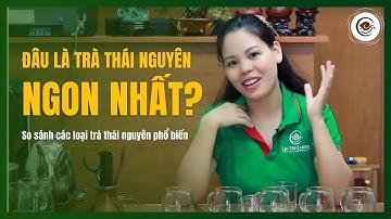 So Sánh Hương Vị Của Các Loại Trà THÁI NGUYÊN