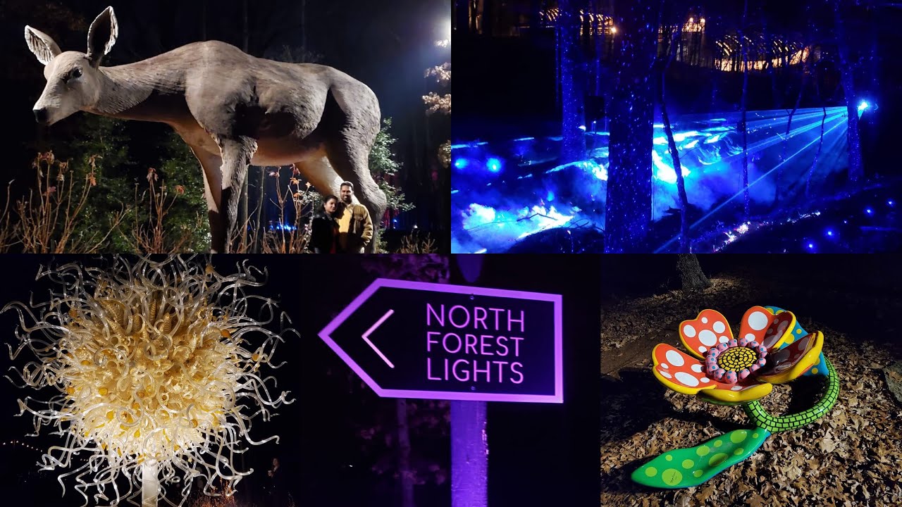 North Forest Lights , Crystal bridges , Arkansas North Forest Lights