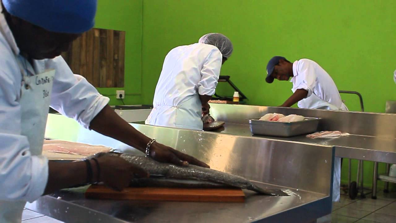 Fresh Fish Wholesale Suppliers Knysna Garden Route Freshline