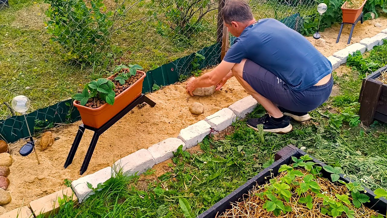 Кошу траву, обустраиваю сад, готовлю на мангале — так проходит моя жизнь