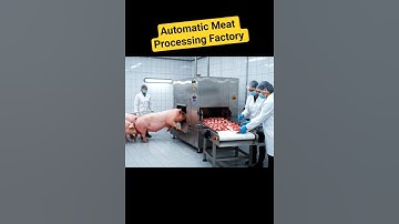 Automatic Pig Processing Machine in Action | Modern Meat Factory