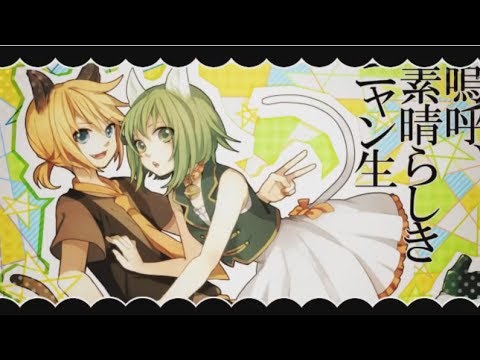 【아츠네 × 하루하】 아아 훌륭한 고양이의 삶(嗚呼、素晴らしきニャン生) 【歌ってみた/Cover】