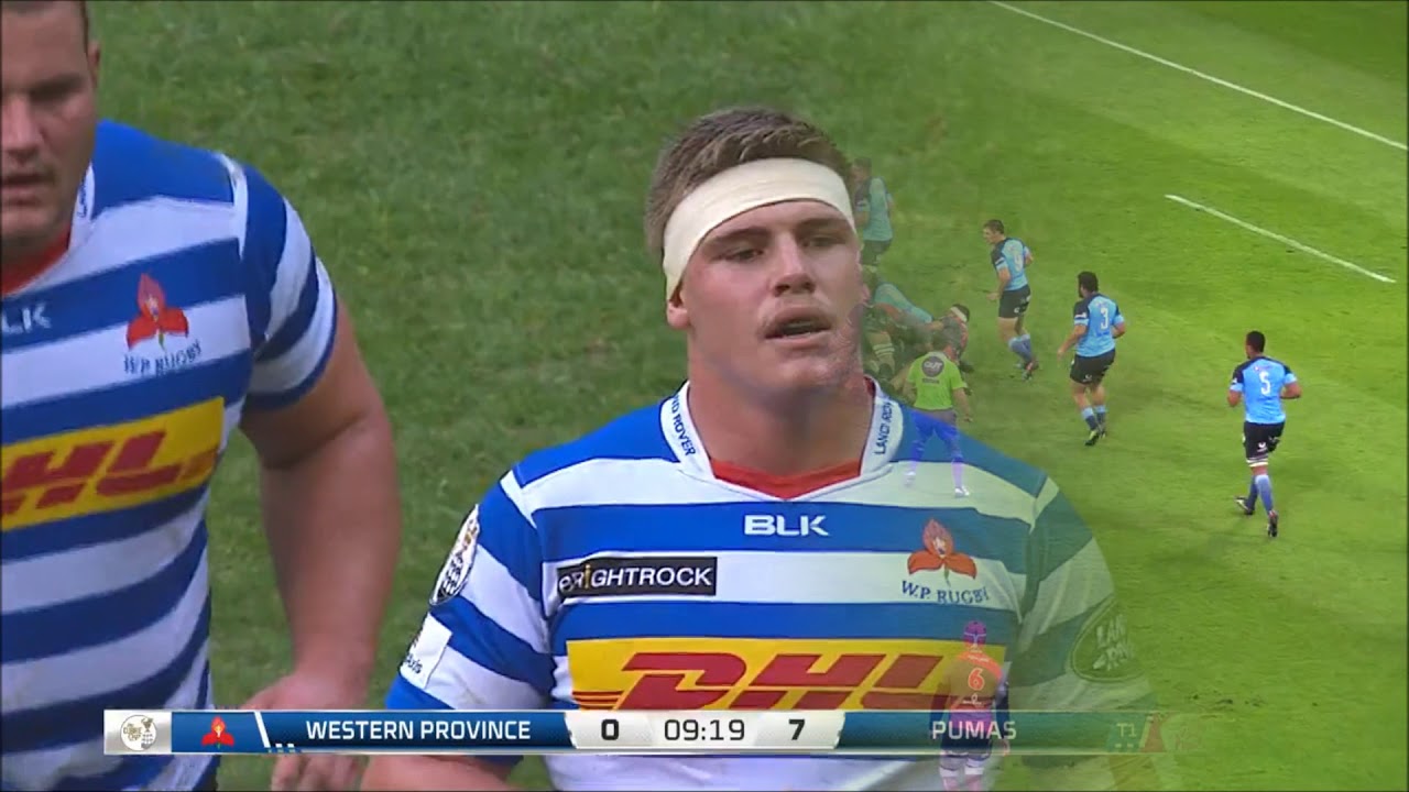 willie engelbrecht rugby