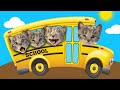 My Favorite Cat Little Kitten Adventure - Play Fun Cute Kitten Care Games For Kids Adventure  #377