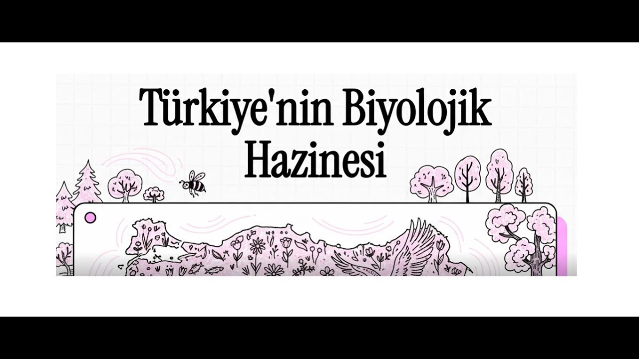 9. Sınıf Biyoloji | Maarif Modeli | Biyoçeşitlilik