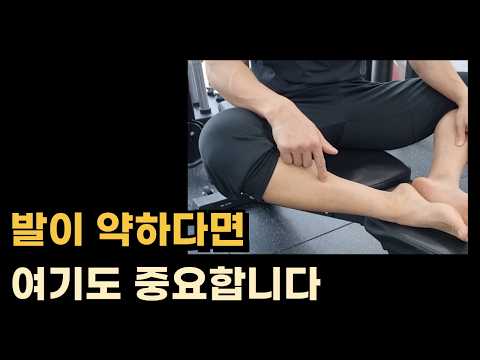 발 아치를 살리려면 ㅇㅇ근육들도 쓸 수 있어야 합니다