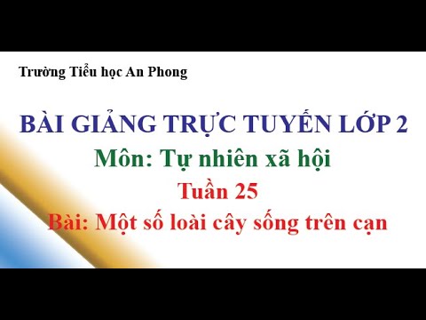 Lớp 2 - Tuần 25 - Môn: Tự nhiên xã hội - Bài: Một số loài cây sống trên cạn
