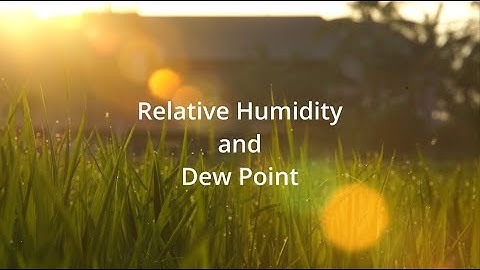 Computrols: Relative Humidity and Dew Point