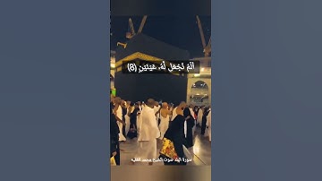 لا أقسم بهذا البلد وأنت حل بهذا البلد  تلاوة خاشعة بصوت الشيخ محمد الفقيه
