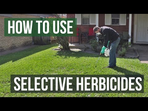 How to Use Selective Herbicides