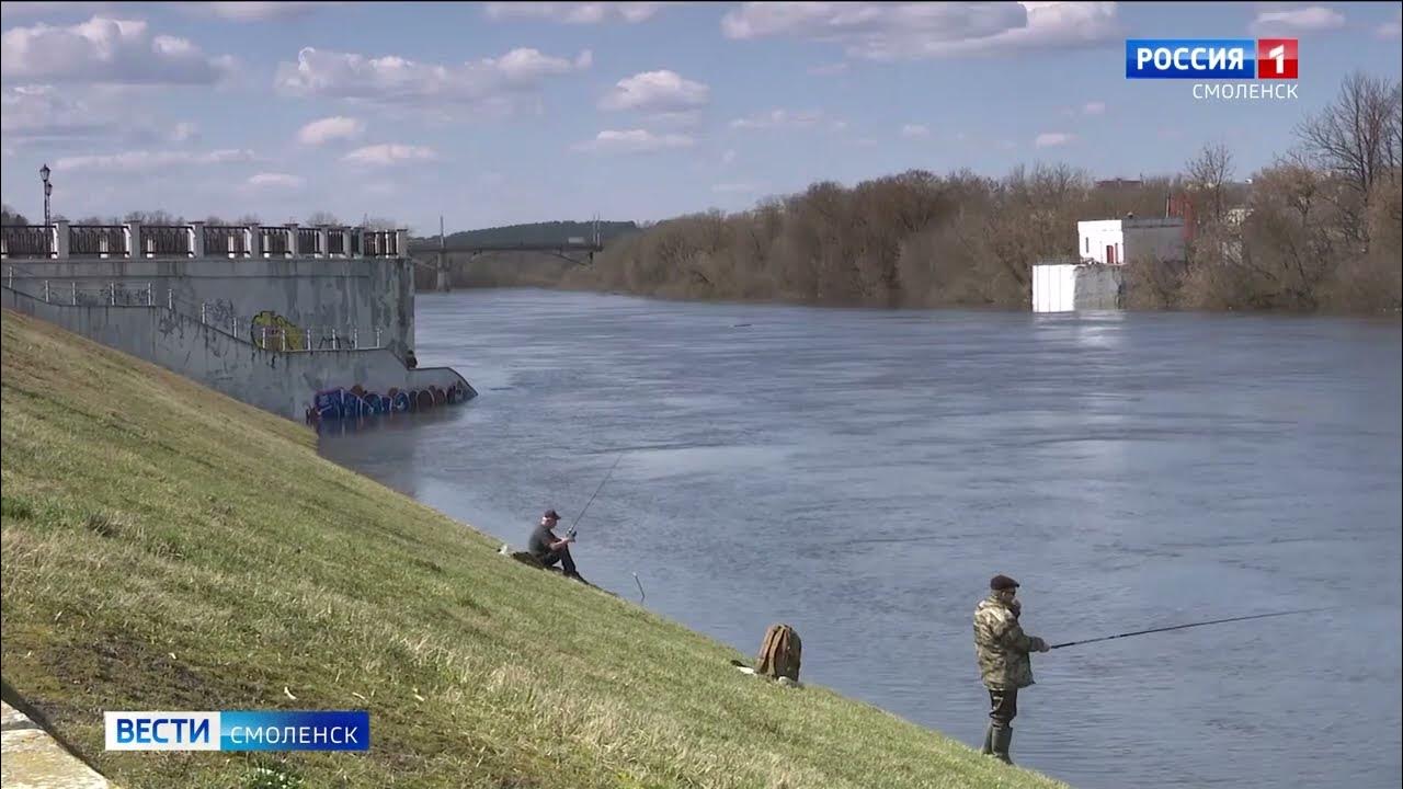 Уровень воды в днепре смоленск сегодня. Паводок. Река Днепр Смоленск. Уровень река Днепр Смоленск. Уровень воды.