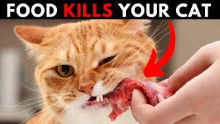 20 Human Foods That can Kill Your Cat With in Few Seconds by Cats Insider  1,850 views 7 months ago 10 minutes, 2 seconds