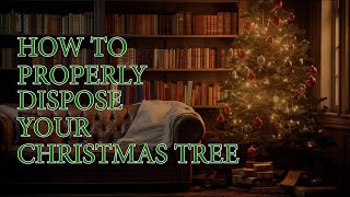 How to Dispose a Christmas Tree Properly