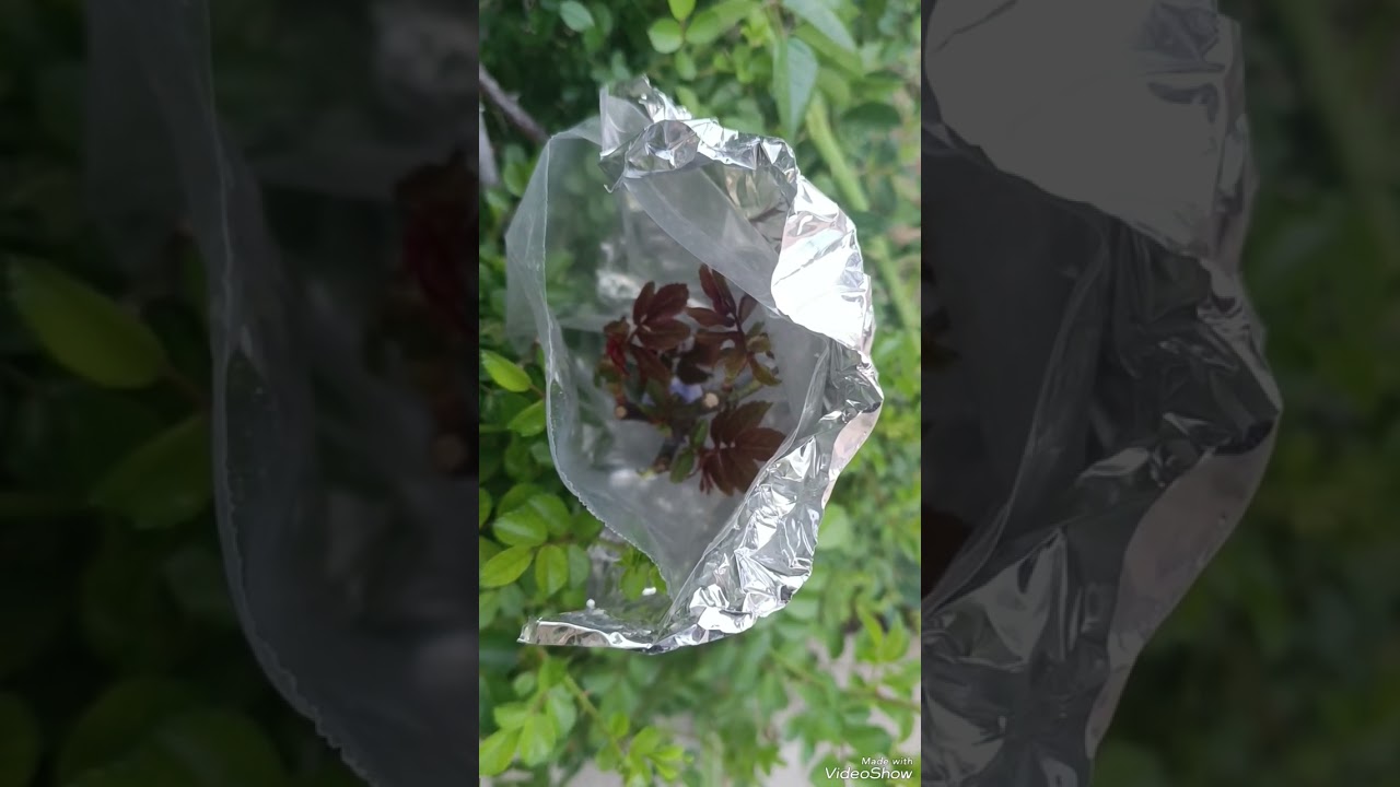 متوربە...پەیوەند