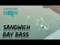 Boat Fishing Sandwich Bay, Kent, UK - Bass Fishing on our First Trip at Sea